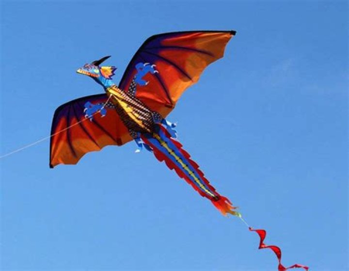 The 6 Best Beach Kites